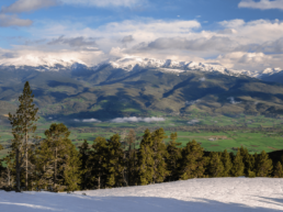 Vivir_en_Alp_Vincle_3