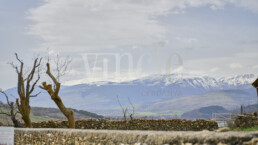 Llo Ref1596 65577 uai Compra y venta de casas y pisos La Cerdanya
