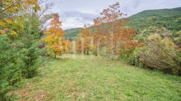 ElsArenys Ref1528 53062 uai Compra y venta de casas y pisos La Cerdanya