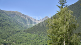 Porta Ref1636 77051 uai Compra y venta de casas y pisos La Cerdanya