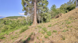 Estavar Ref1658 85696 uai Compra y venta de casas y pisos La Cerdanya