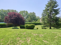 p Llivia Ref1655 86572 1 uai Compra y venta de casas y pisos La Cerdanya